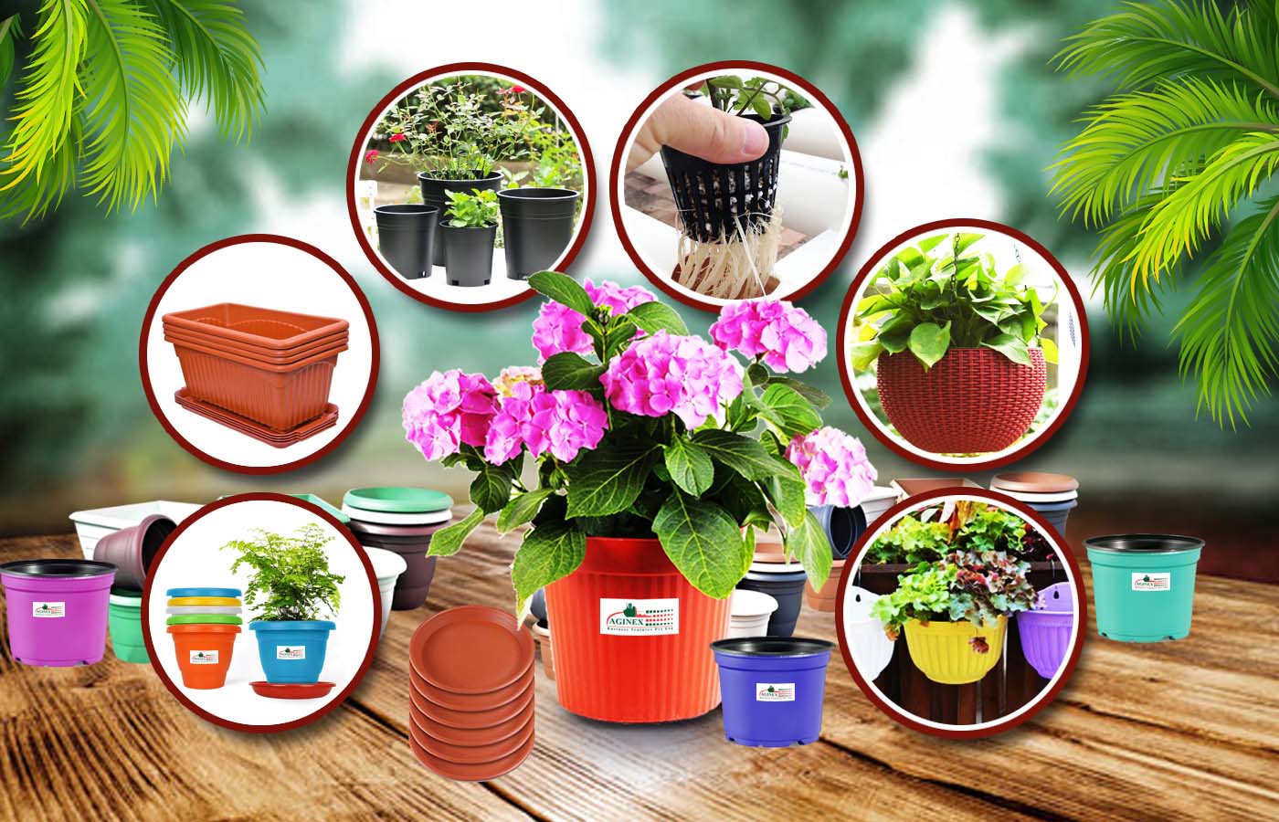 Garden Pots That Transform Your Outdoor & Indoor Spaces