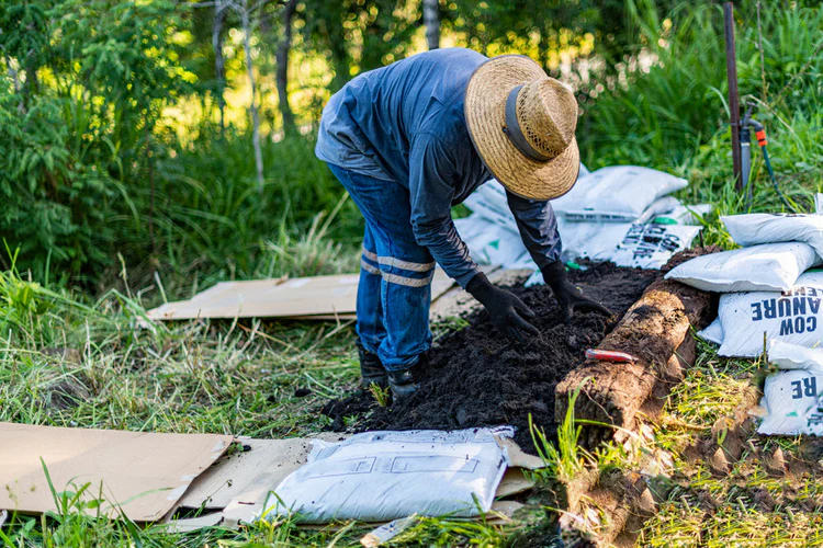 Organic Cow Manure & Premium Vermicompost for Healthy Plants - SVR Gardens