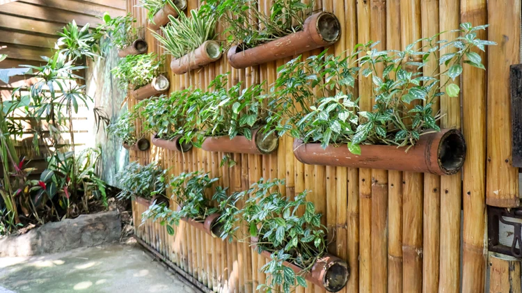 Eco-Friendly Bamboo Vertical Gardens & Wall Planters - SVR Gardens
