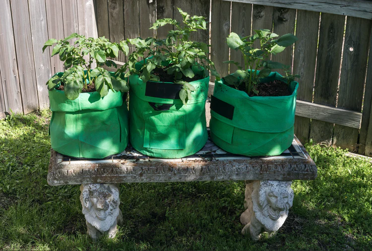 Premium Quality Plant Grow Bags for Terrace & Home Gardening - SVR Gardens