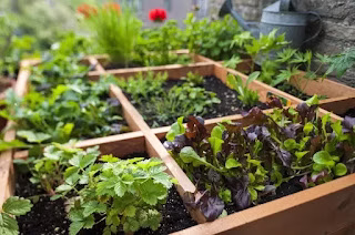 The Ultimate Guide to Square Foot Gardening: Grow More Food in Less Space