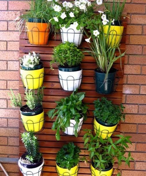Best Wholesale Nursery Plants & Vertical Gardens in Kadiyam - SVR Gardens
