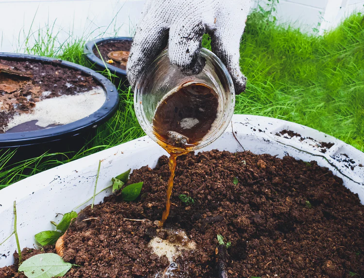 Organic Liquid Fertilizers & Boosters for Instant Plant Growth - SVR Gardens