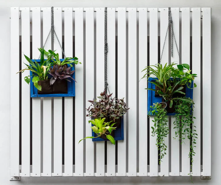 Creative Vertical Gardening Ideas for Modern Homes and Small Spaces